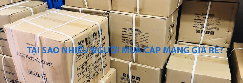 Tại sao nhiều người mua dây cáp mạng giá rẻ