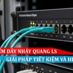 Đặc điểm dây nhảy quang LS