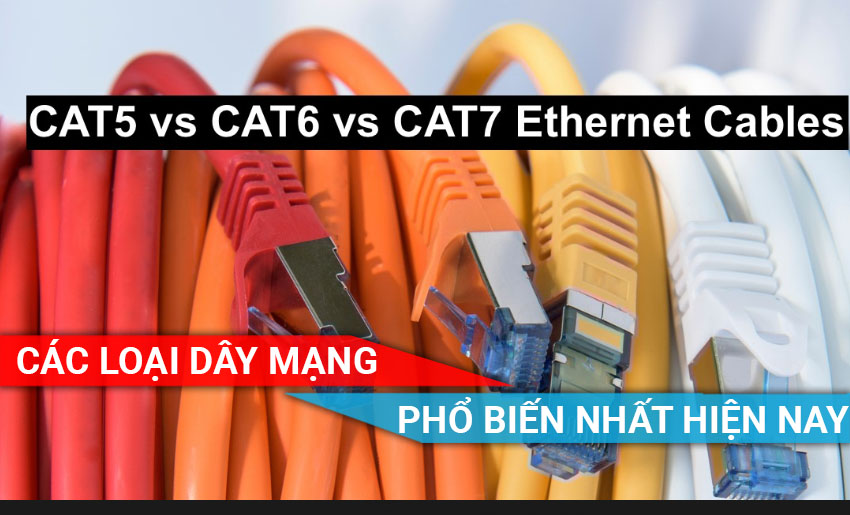 Các loại dây mạng phổ biến nhất hiện nay