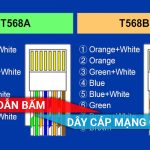 Hướng dẫn bấm dây mạng chuẩn T568AB