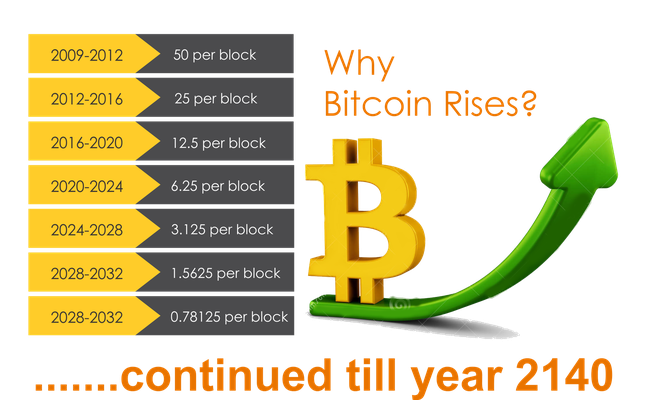 Mỏ Bitcoin đã bị “dân cày” đào tới 4/5 rồi