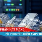Các sản phẩm hạt mạng amp