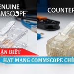 Cách nhận biết hạt mạng commscope chính hãng
