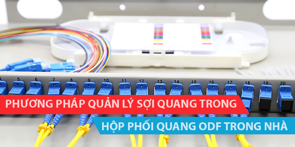 Phương pháp quản lý sợi quang trong hộp phối quang ODF trong nhà