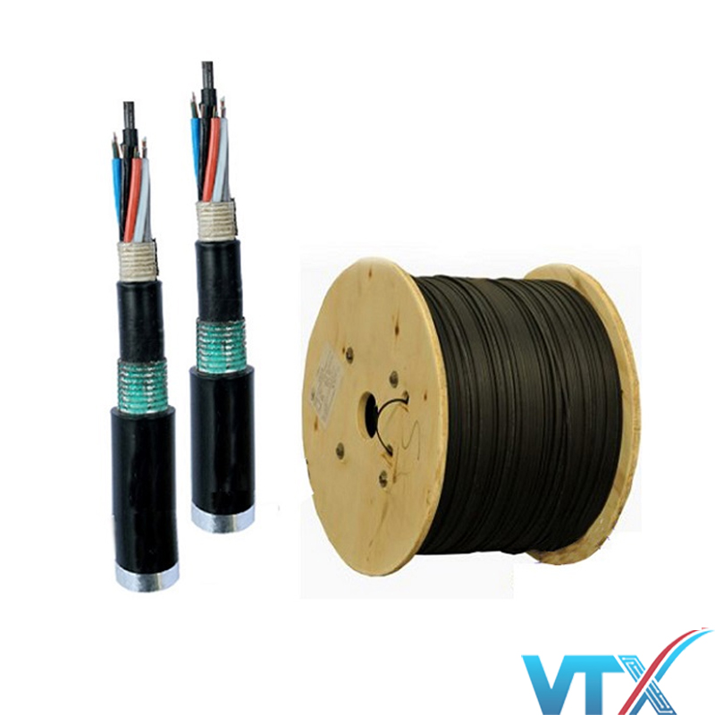 Cáp quang LS Multimode 4FO (LT-DJBGSEX/BRN MG4XXX(06T2.00)