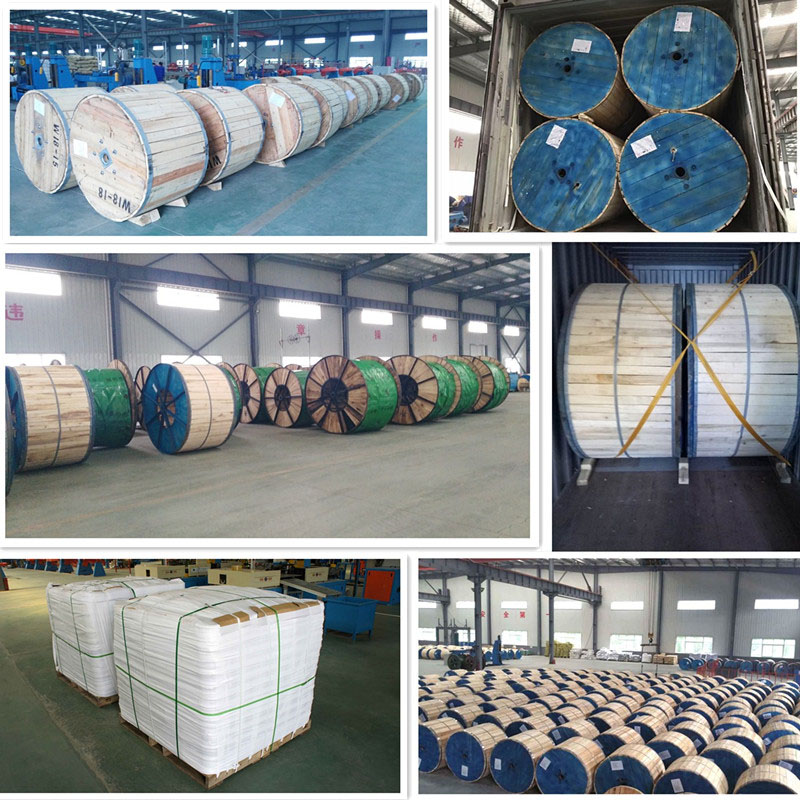 Hình ảnh lô cáp mạng Multiconductor