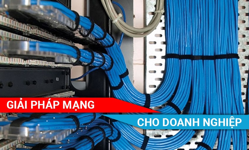 Giải pháp cáp mạng cho doanh nghiệp