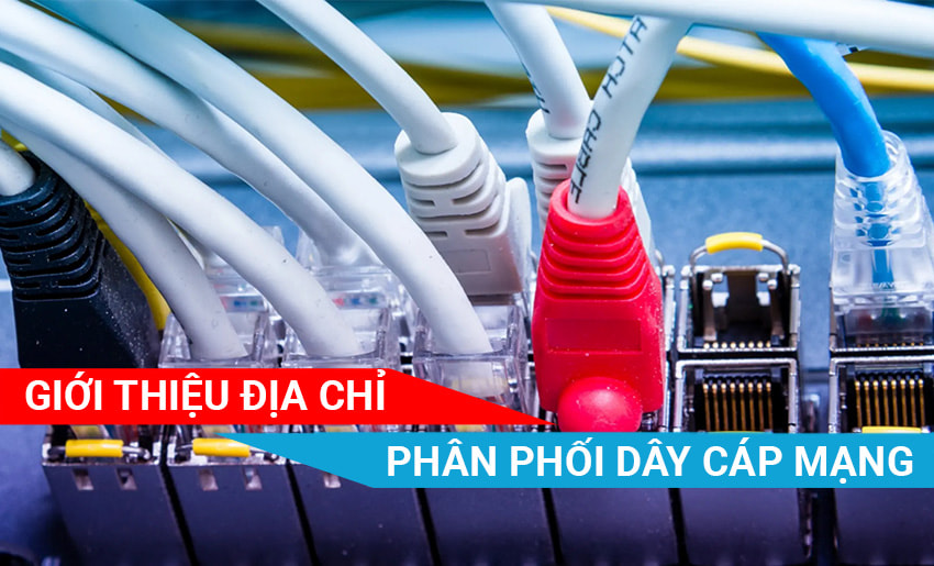 Giới thiệu địa chỉ phân phối dây cáp mạng