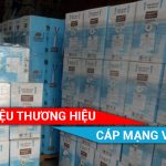 Giới thiệu thương hiệu cáp mạng Vinacap Việt Nam