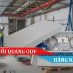 Hộp phối quang ODF hãng nào tốt