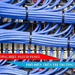 Các thương hiệu Patch Panel phổ biến