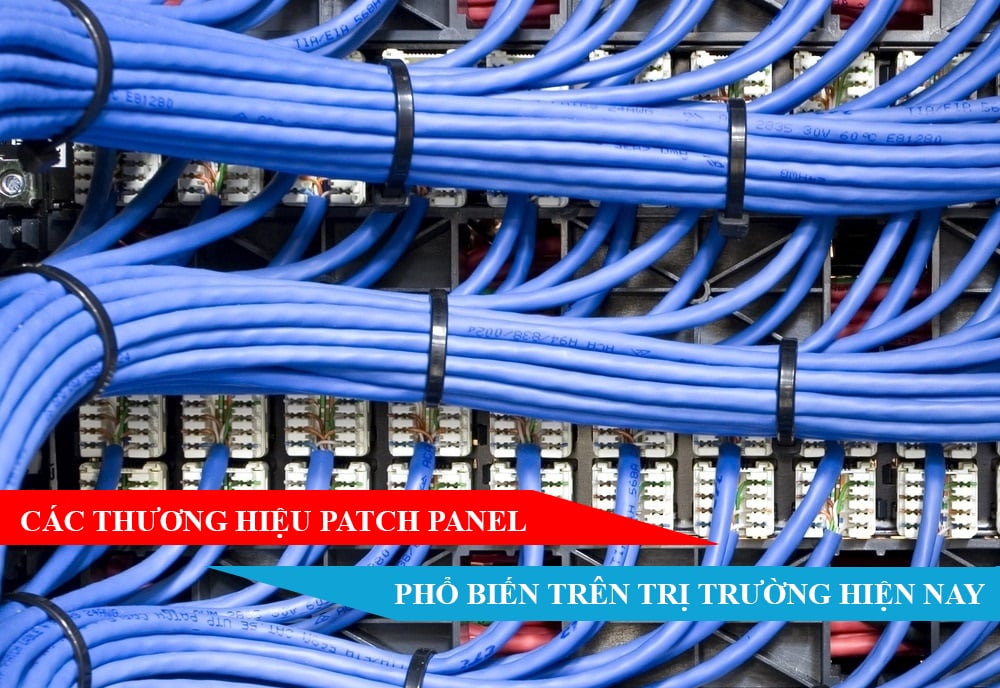 Các thương hiệu Patch Panel phổ biến