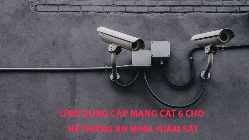 Ứng dụng dây cáp mạng Cat6