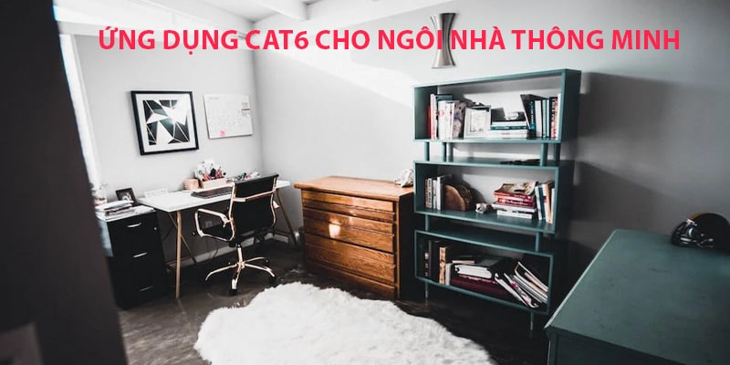 Ứng dụng dây cáp mạng Cat6