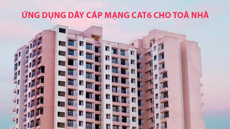 Ứng dụng dây cáp mạng Cat6