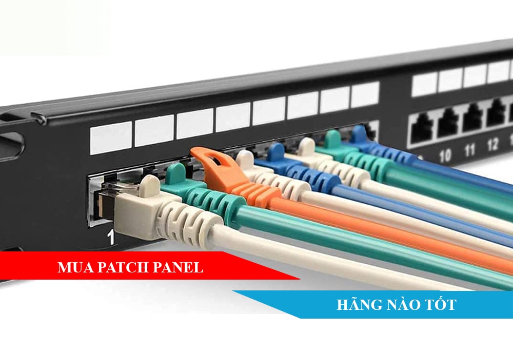 Mua Patch Panel hãng nào tốt?