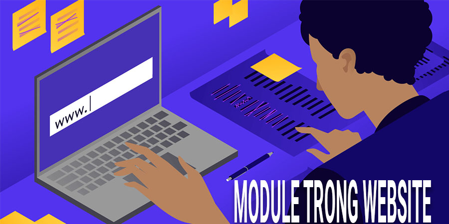 MODULE TRONG WEBSITE LÀ GÌ