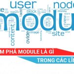 Module là gì