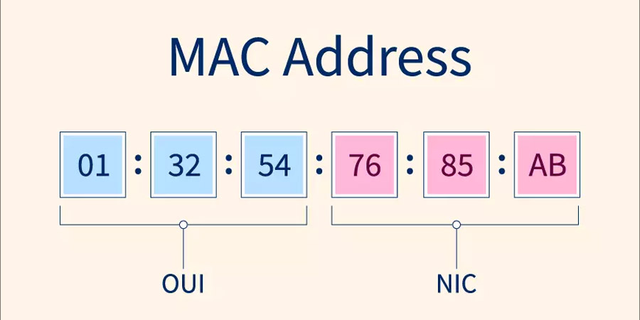 Thành phần của địa chỉ MAC
