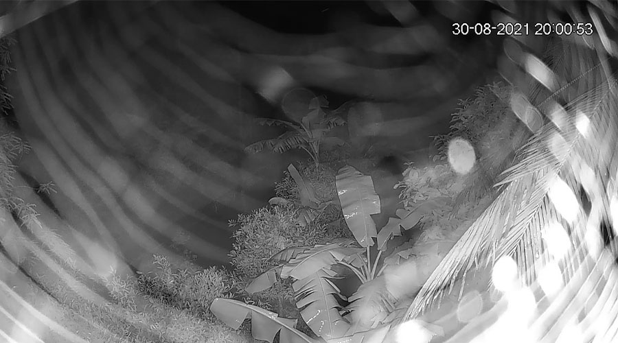 hình ảnh camera hồng ngoại bị lóe sáng