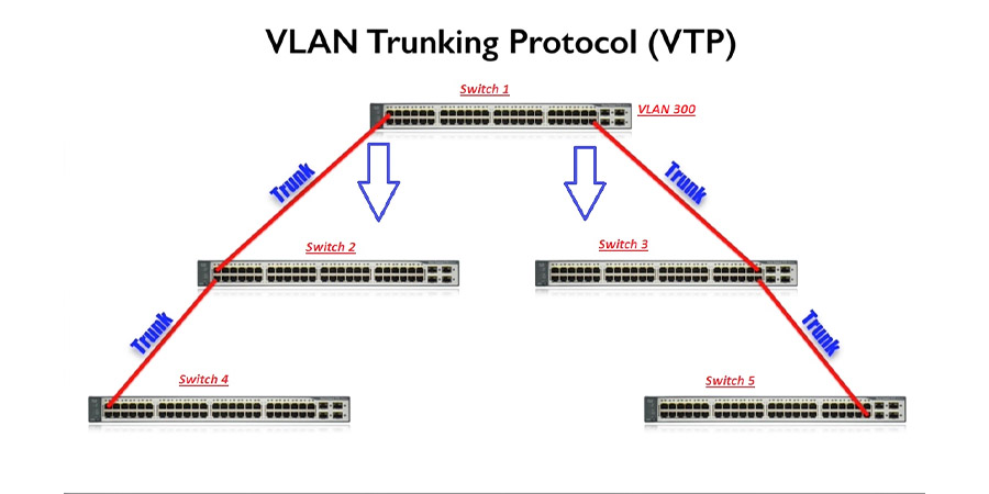 VTP hoạt động như thế nào