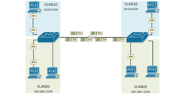 cổng trunk trên Switch hoạt động ra sao