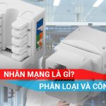 tìm hiểu nhân mạng là gì