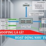IGMP Snooping là gì Và hoạt động như thế nào