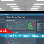 SNMP là gì Giao thức quản lý mạng đơn giản hoạt động thế nào