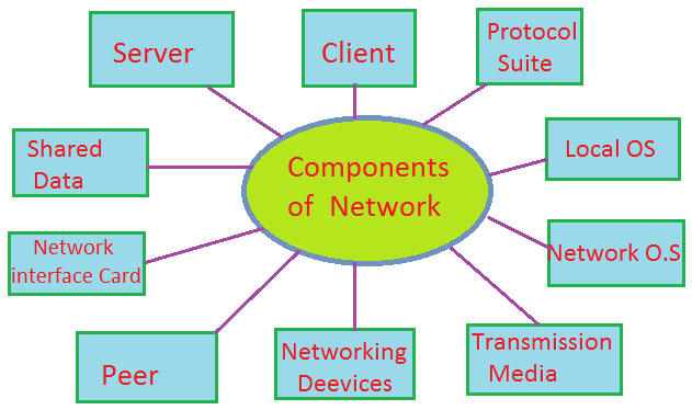 các thành phần quan trọng của mạng network
