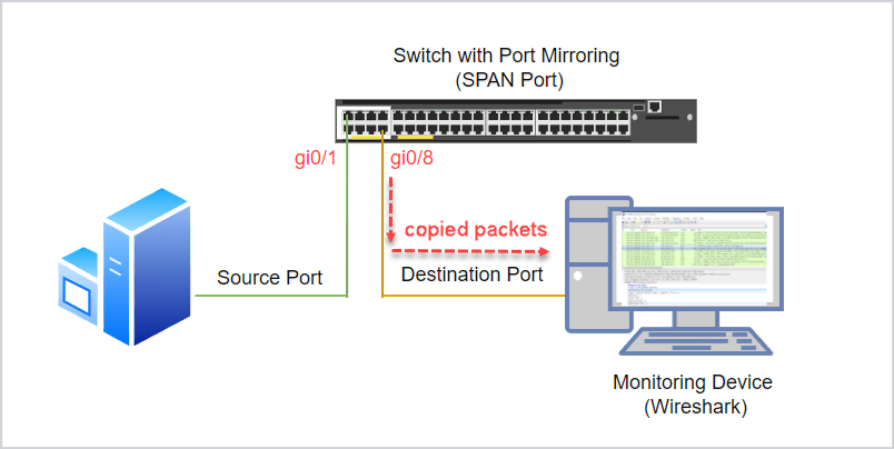 minh họa cổng phản chiếu SPAN trên Switch