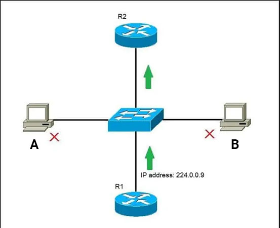 minh họa địa chỉ IP multicast