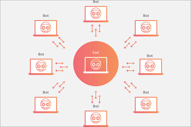 botnet hoạt động thế nào