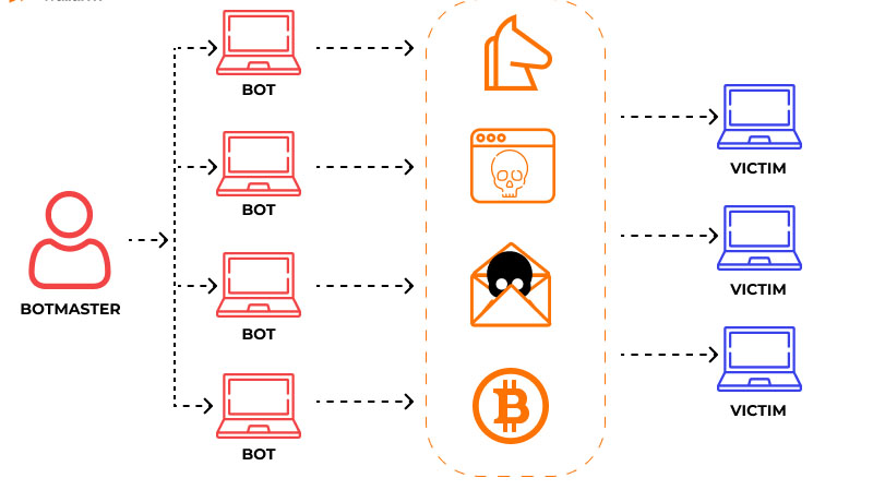 các hình thức tấn công botnet
