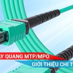 dây nhảy quang MPO-MTP là gì