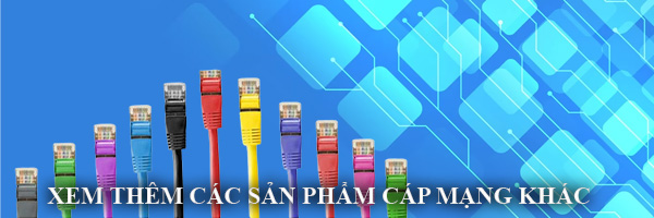 Dây cáp mạng Cat8