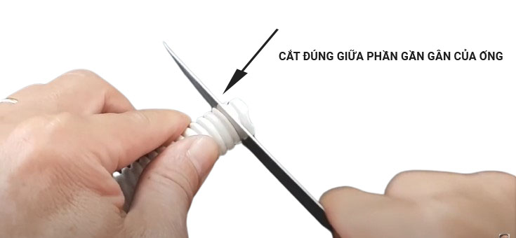 Căt 1 đầu ống ở giữa phần gân