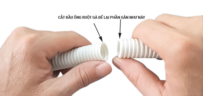 cắt 2 phần đầu ống ruột gà để lại phần gân