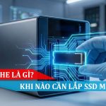 SSD CACHE LÀ GÌ
