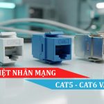 phân biệt nhân mạng cat5 cat6 và cat6a