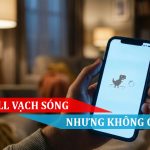 wifi full sóng nhưng không có mạng